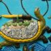 Last Female Yangtze Turtle Dies